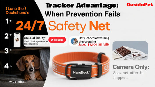 🏠 Creating a Pet-Safe Haven: Hidden Home Hazards & Smart Solutions (Including Trackers!)