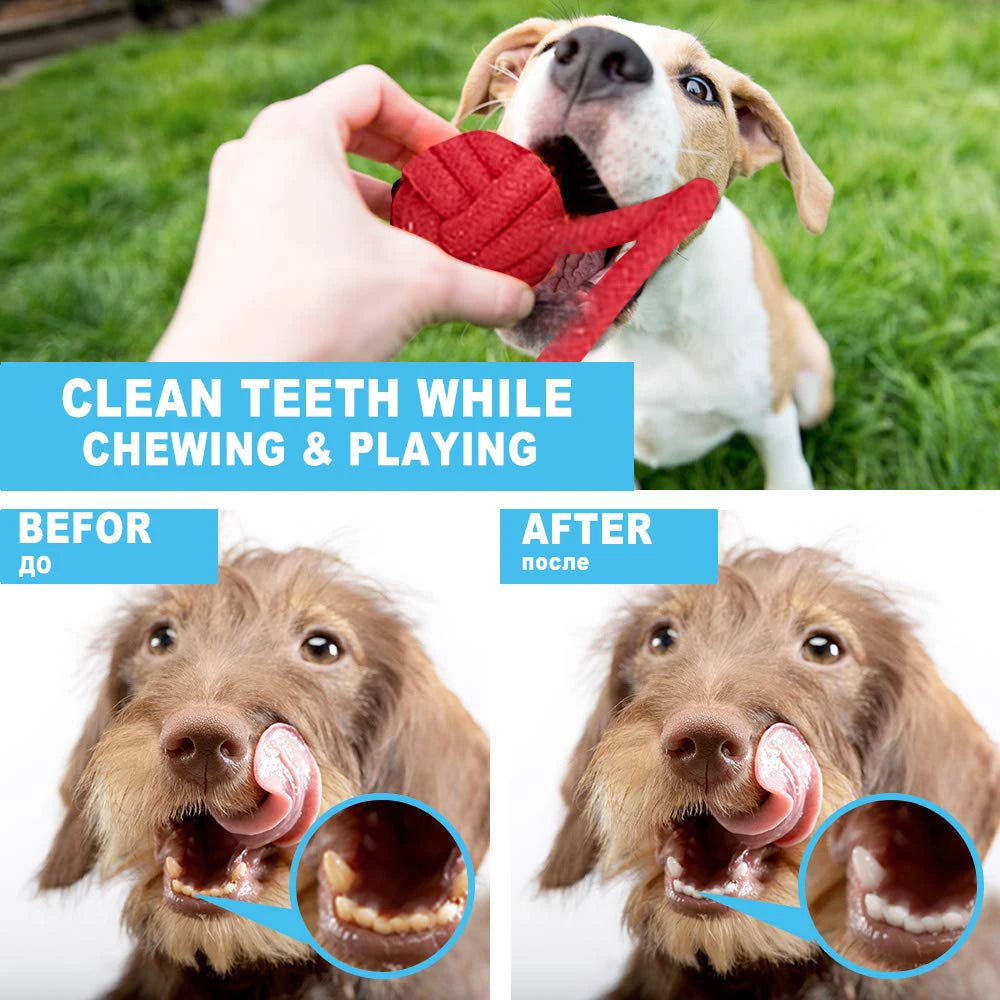 AUSIDAPET 12Pcs Large Dog Toy Sets Chew Rope Toys for Dog Chewing Toys for Dog Outdoor Teeth Clean Toy for Big Dogs Juguete para Perros