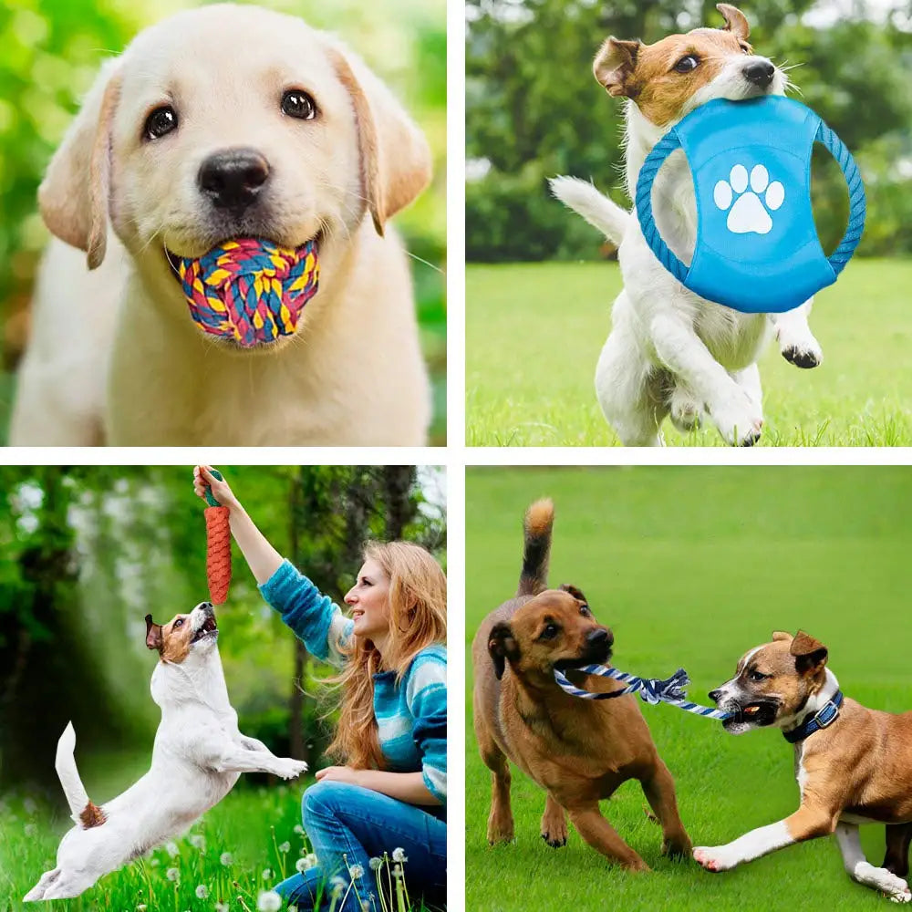 AUSIDAPET 12Pcs Large Dog Toy Sets Chew Rope Toys for Dog Chewing Toys for Dog Outdoor Teeth Clean Toy for Big Dogs Juguete para Perros