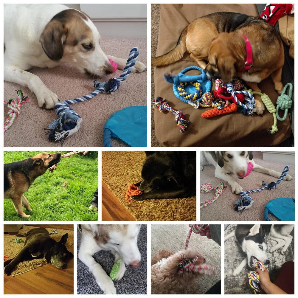 AUSIDAPET 12Pcs Large Dog Toy Sets Chew Rope Toys for Dog Chewing Toys for Dog Outdoor Teeth Clean Toy for Big Dogs Juguete para Perros