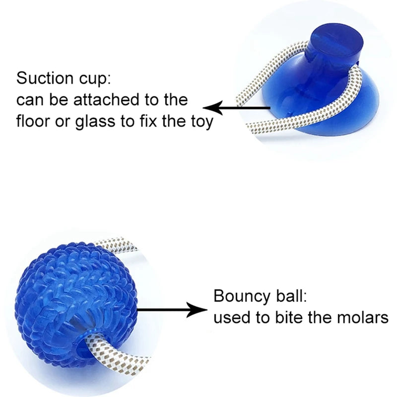 AUSIDAPET 1Piece Pet Toy Floor Suction Cup with Ball for Cat Dog Teeth Cleaning Chewing Playing