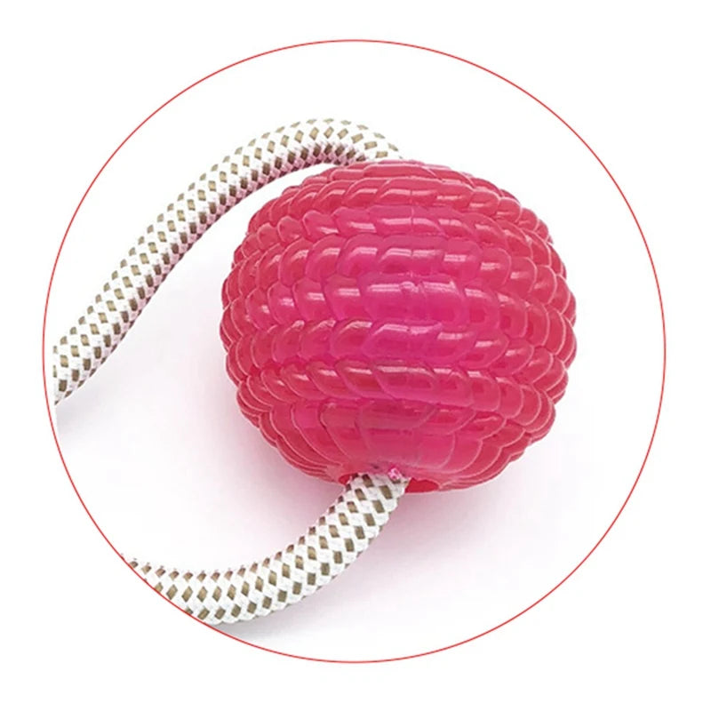 AUSIDAPET 1Piece Pet Toy Floor Suction Cup with Ball for Cat Dog Teeth Cleaning Chewing Playing