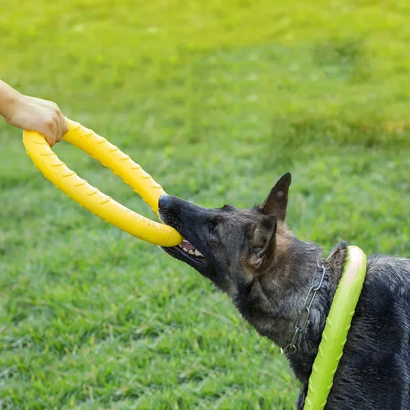 AUSIDAPET 27cm Pet Flying Discs Dog Toy Interactive Training Ring Puller Resistant Tooth cleaning Dogs Game Bite Floating Chewing Supplies