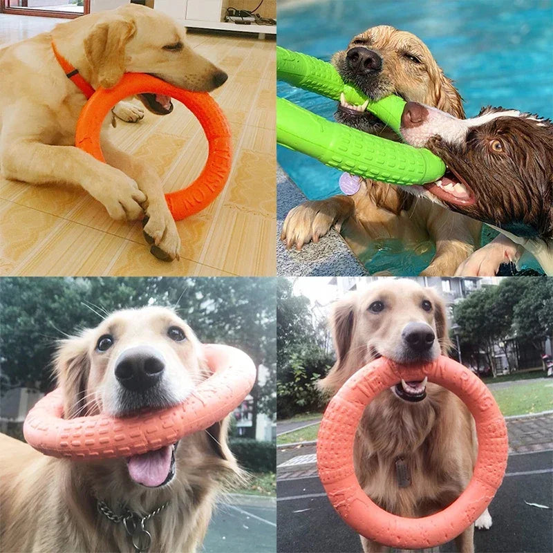 AUSIDAPET 27cm Pet Flying Discs Dog Toy Interactive Training Ring Puller Resistant Tooth cleaning Dogs Game Bite Floating Chewing Supplies