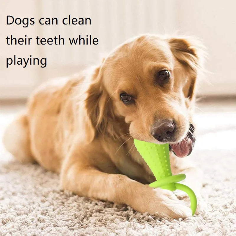 AUSIDAPET 3PCS Dog Teether Training Dog Toys for Small Dogs Indestructible Toy Teeth Cleaning Chew Training Toys GWJ12
