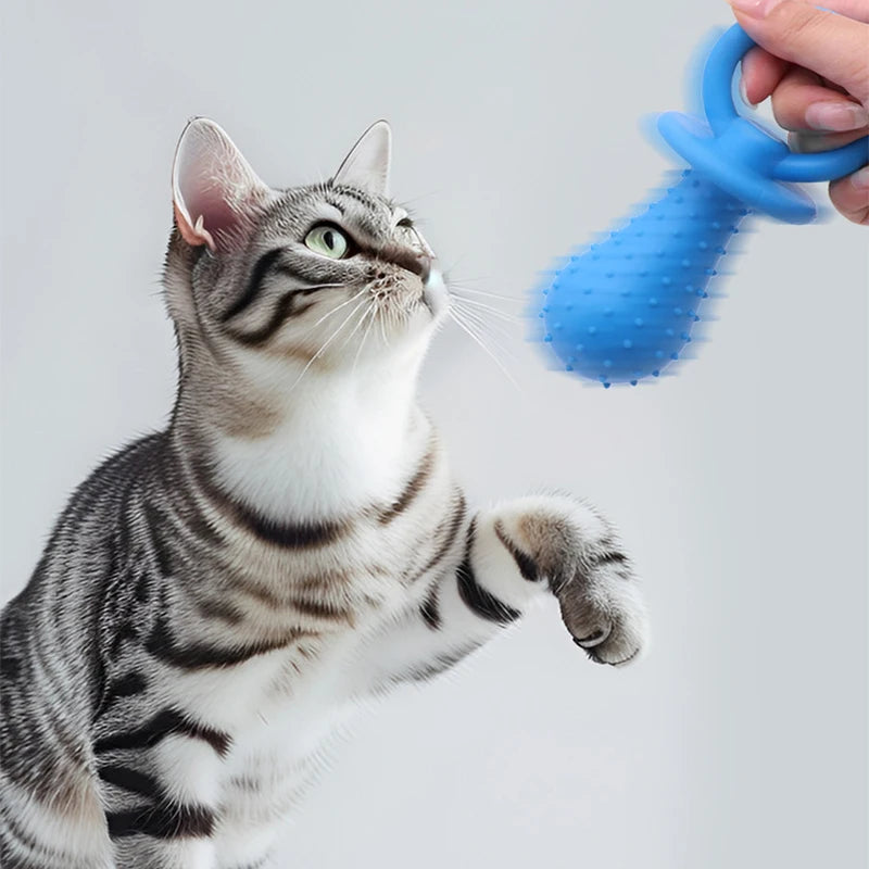AUSIDAPET 3PCS Dog Teether Training Dog Toys for Small Dogs Indestructible Toy Teeth Cleaning Chew Training Toys GWJ12