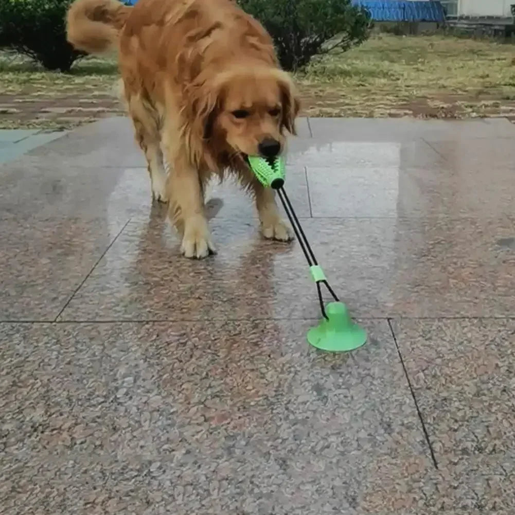 AUSIDAPET Dog Chew Toys,for Aggressive Chewers,Interactive Dog Suction Cup Toy,Teething Rope Toy,Dog Puzzle Treat Food Dispensing Ball Toy
