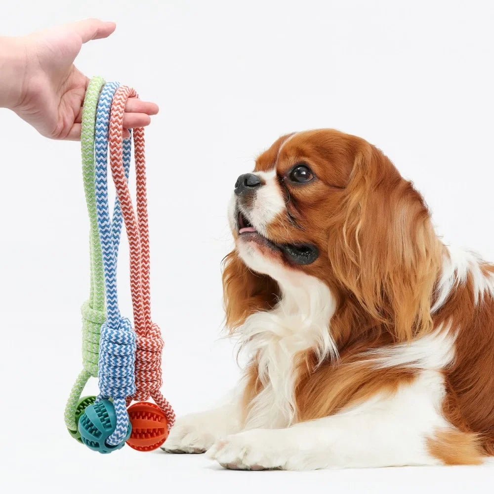 AUSIDAPET Dog Rope Ball Bite Resistance Training Ball with Rope Interesting Puzzle Teething Toy for Molar Teeth Cleaning Boredom Relieving