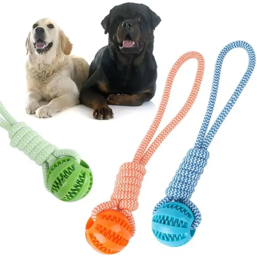 AUSIDAPET Dog Rope Ball Bite Resistance Training Ball with Rope Interesting Puzzle Teething Toy for Molar Teeth Cleaning Boredom Relieving