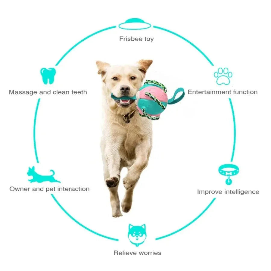 AUSIDAPET Dog Soccer Ball Interactive Pet Toys Foldable Ball Molar Toy Outdoor Training Ball for Puppy Dog Chew Dog Accessories