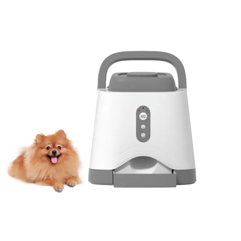 AUSIDAPET Dog Training Feeder