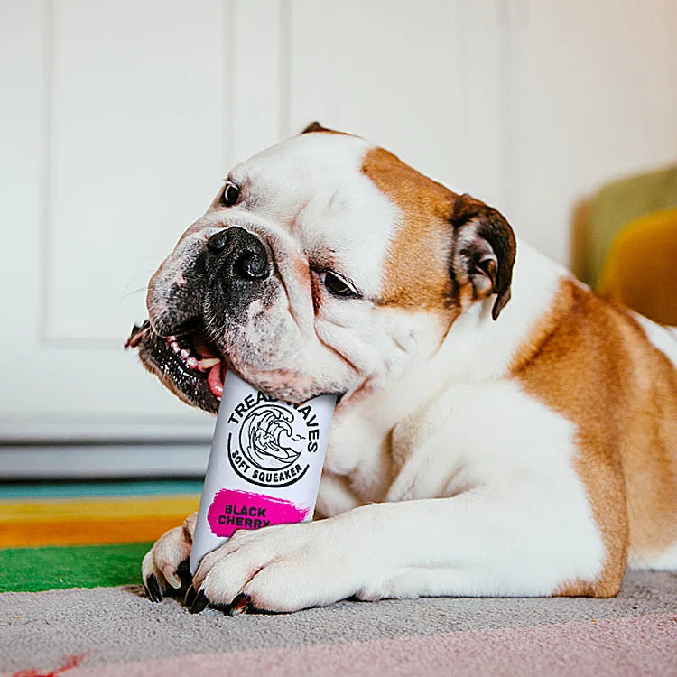 AUSIDAPET Dog Vocal Toys Cans Plush Toys Beer Plush Toys Small Dogs Toys Dogs Throwing Interactive Toys Dogs Pets Accessories Puppy Stuff