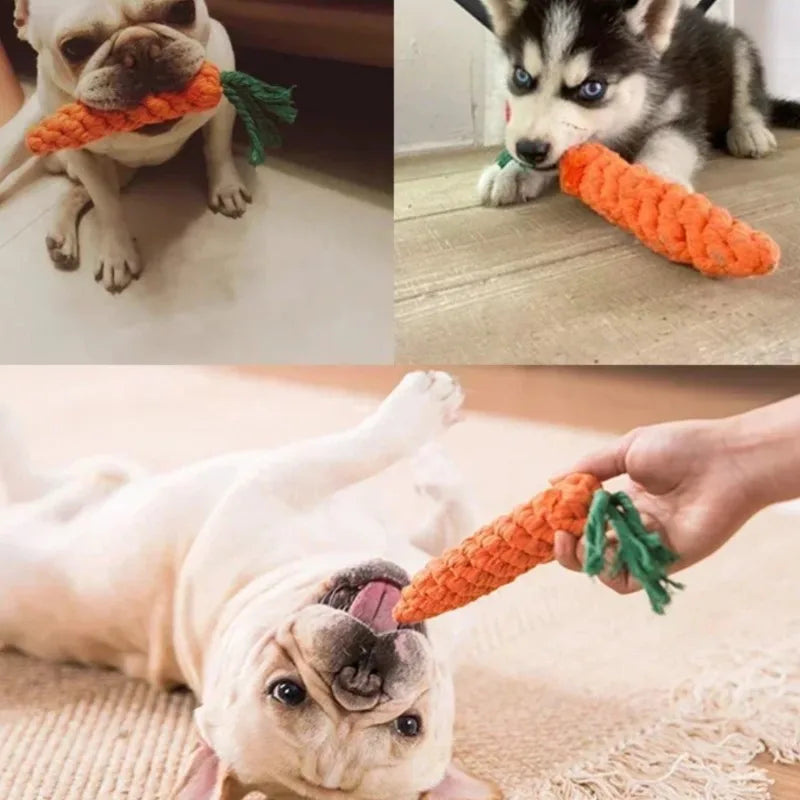 AUSIDAPET Dogs Toy 1Pc Carrot Dog Rope Resistant Puppy Molar Cleaning Teeth Grinding Training Supplies Chew Bite Toy Durable Braided Bite