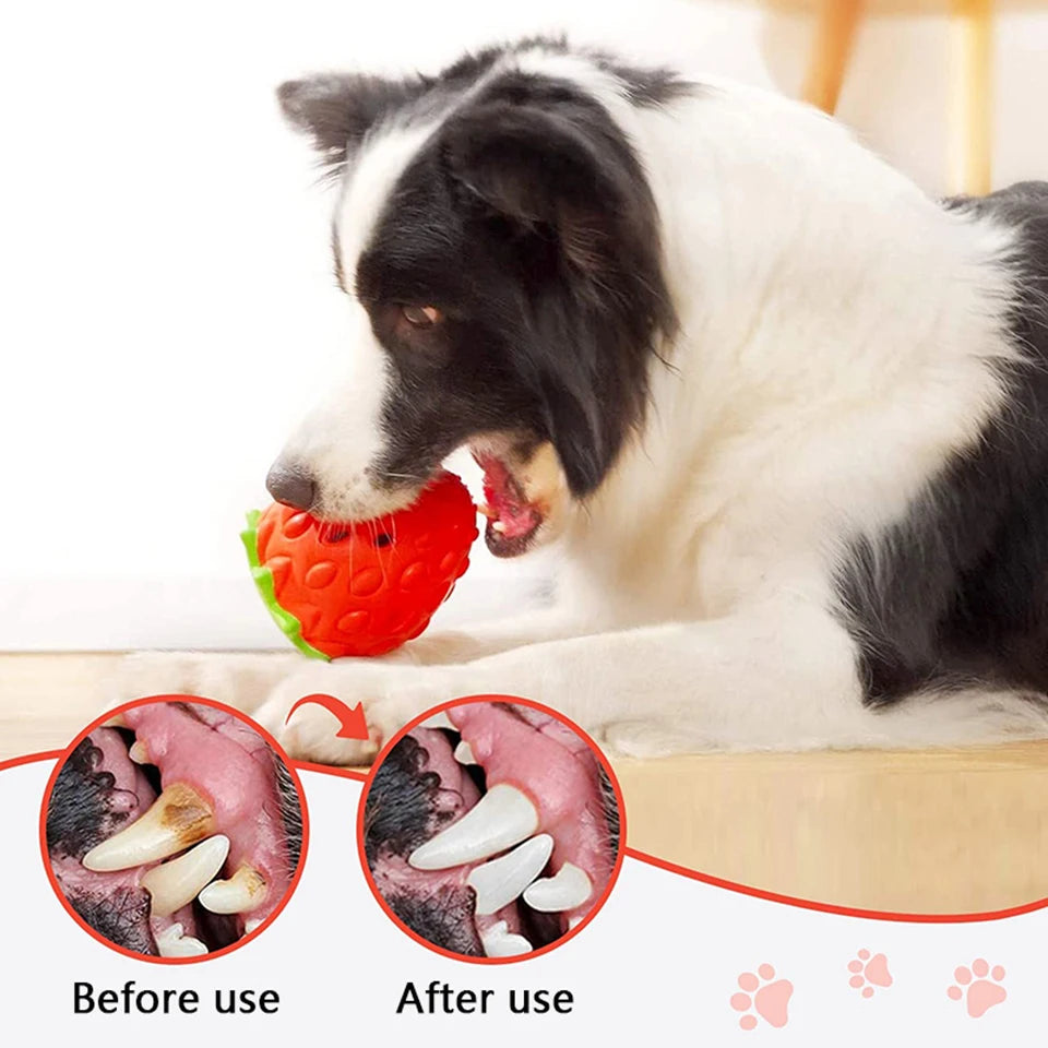 AUSIDAPET DualPet Dog Chew Toys Rubber Strawberry Shaped Food Leaking Toy Durable Eco-friendly Food Dispenser Dogs Toy