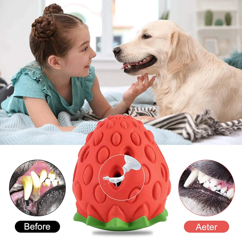 AUSIDAPET DualPet Dog Chew Toys Rubber Strawberry Shaped Food Leaking Toy Durable Eco-friendly Food Dispenser Dogs Toy