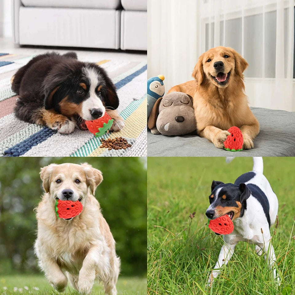 AUSIDAPET DualPet Dog Chew Toys Rubber Strawberry Shaped Food Leaking Toy Durable Eco-friendly Food Dispenser Dogs Toy