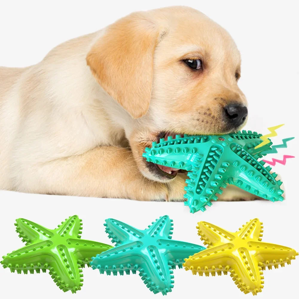 AUSIDAPET Funny Starfish Squeaky Chew Toys for Large Small Dog Indestructible Rubber Teeth Cleaning Interactive Training Toy Pets Supplies