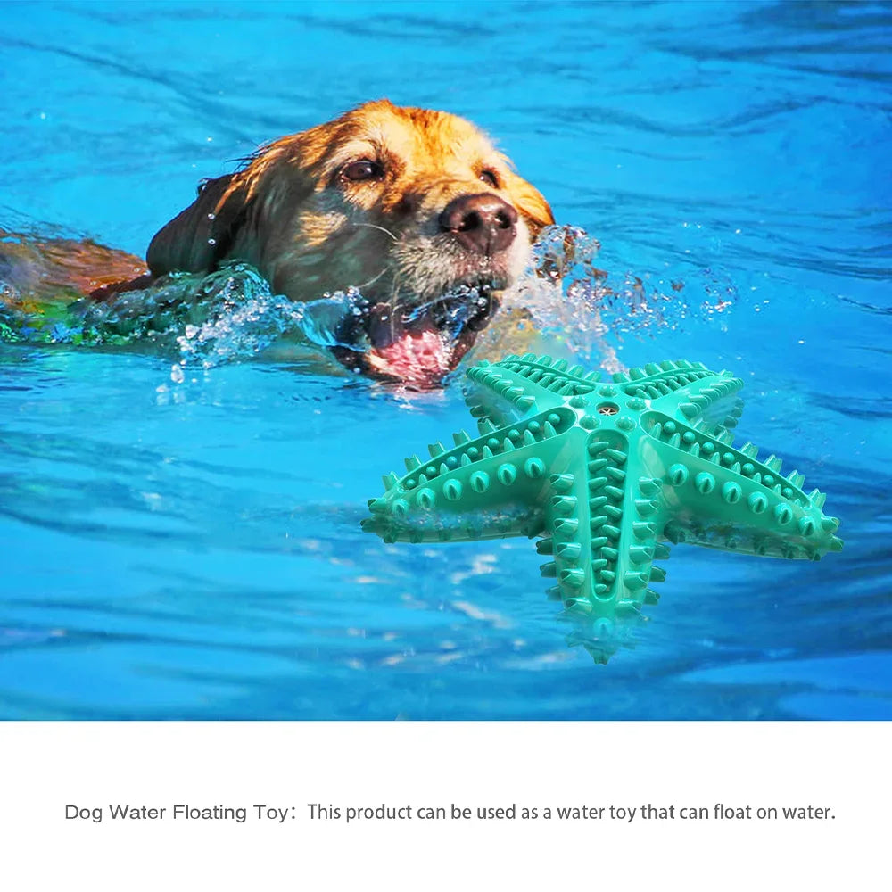 AUSIDAPET Funny Starfish Squeaky Chew Toys for Large Small Dog Indestructible Rubber Teeth Cleaning Interactive Training Toy Pets Supplies