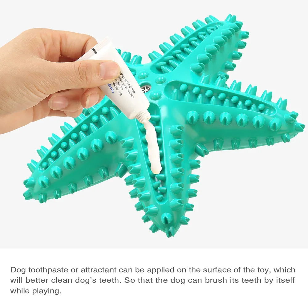 AUSIDAPET Funny Starfish Squeaky Chew Toys for Large Small Dog Indestructible Rubber Teeth Cleaning Interactive Training Toy Pets Supplies