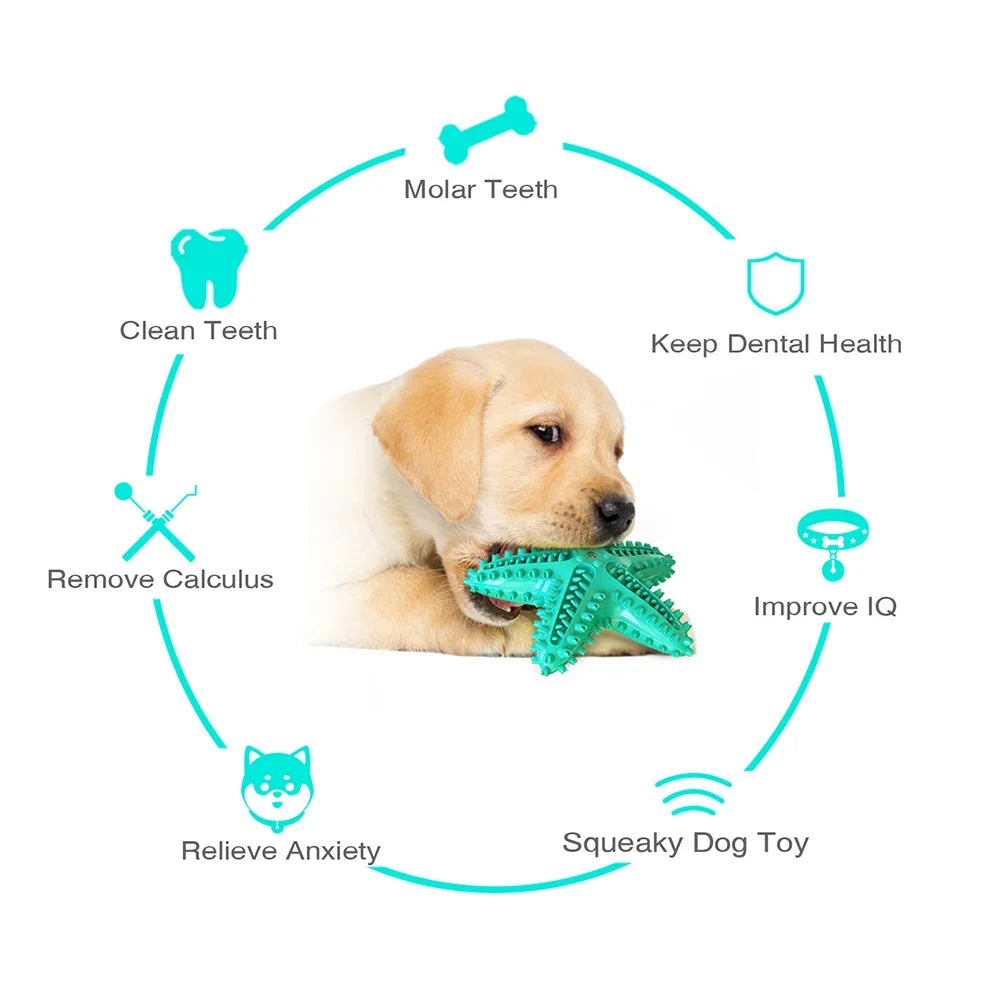AUSIDAPET Funny Starfish Squeaky Chew Toys for Large Small Dog Indestructible Rubber Teeth Cleaning Interactive Training Toy Pets Supplies
