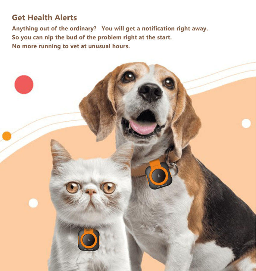 AUSIDAPET New Arrival Real-time Tracking Device Pet Health Status Detector 4g Mini Pet Dog Gps Health tracker Collar With Free APP