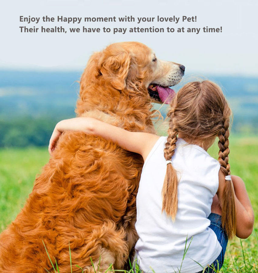 AUSIDAPET New Arrival Real-time Tracking Device Pet Health Status Detector 4g Mini Pet Dog Gps Health tracker Collar With Free APP