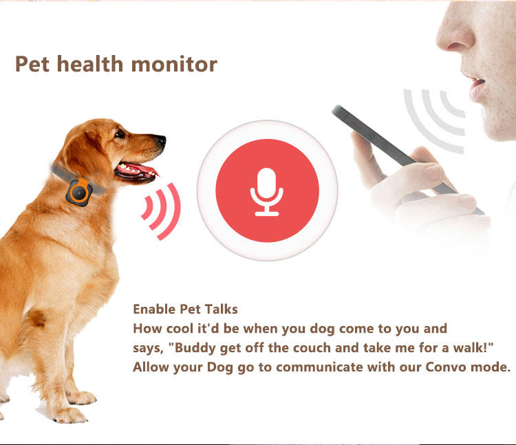 AUSIDAPET New Arrival Real-time Tracking Device Pet Health Status Detector 4g Mini Pet Dog Gps Health tracker Collar With Free APP