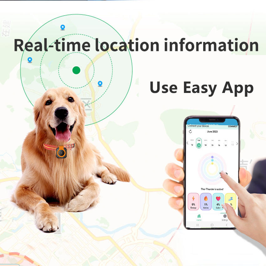 AUSIDAPET New Arrival Real-time Tracking Device Pet Health Status Detector 4g Mini Pet Dog Gps Health tracker Collar With Free APP