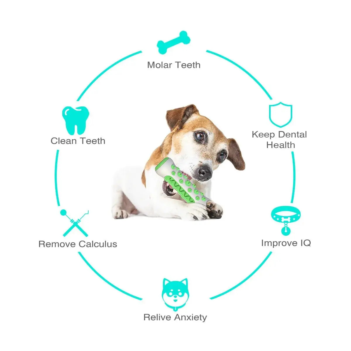 AUSIDAPET New Product Dog Molar Toothbrush Dog Molar Tooth Stick Puppy Dental Care Durable Dog Chew Toy Elasticity Soft Pet Tooth Cleaning