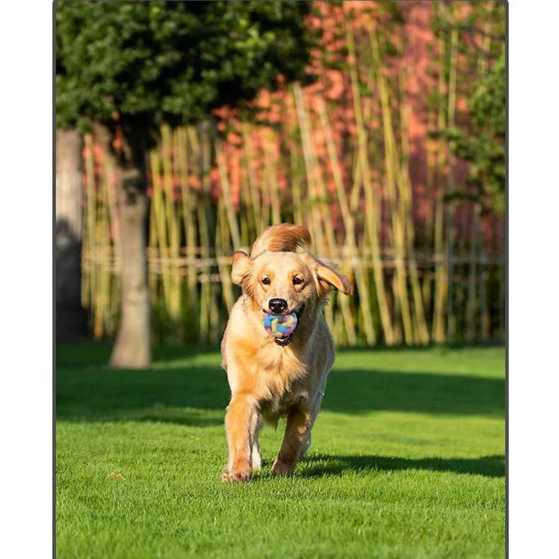 AUSIDAPET Pet cat dog toy macaron woven bell ball TPR elastic ball teeth grinding anti bite relief pet toy