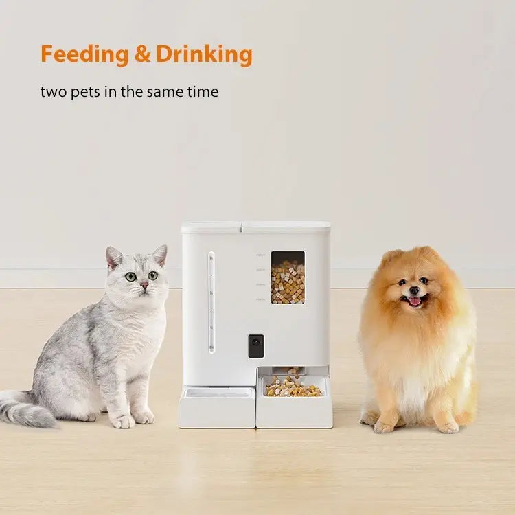 AUSIDAPET Pet Food Feeder And Water Dispenser Set 2 In 1 Automatic Cat Feeder And Water Fountain With Camera Monitor