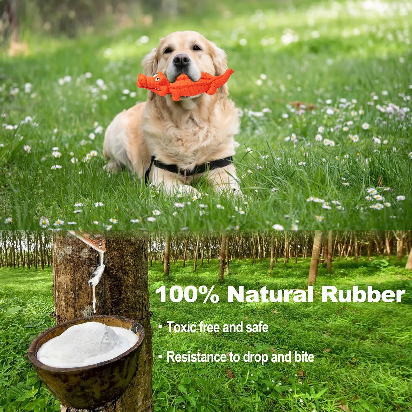 AUSIDAPET Pet Rubber Toy Big Dog Sound Grinding Stick Cleaning Dog Chewing Gum Dog Sound Toy Super Strong Dog For Aggressive Chewers