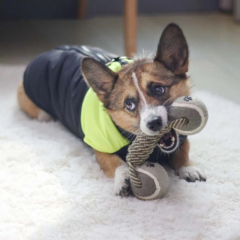 AUSIDAPET Pets Chew Toy Cotton Rope Tennis Dumbbell Rubbertoy Ball Medium Large Dog Interactive Toy Animal Playing Supplies