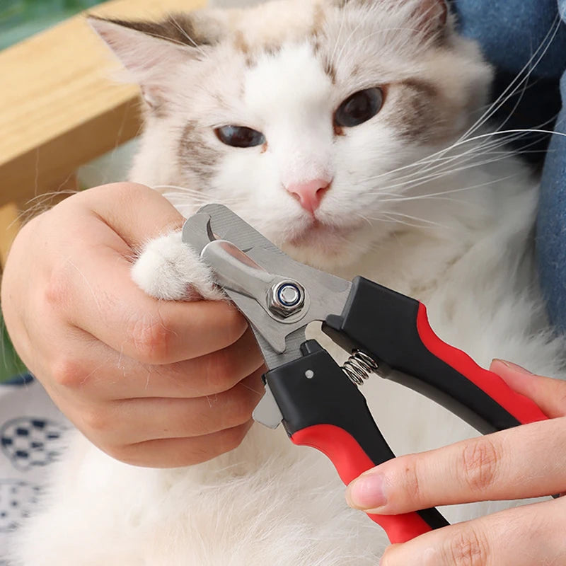 AUSIDAPET Professional Pet Nail Clipper Stainless Steel Dog Cat Nail Clippers Multifunctional Teddy Cat Stainless Steel Grooming Scissors