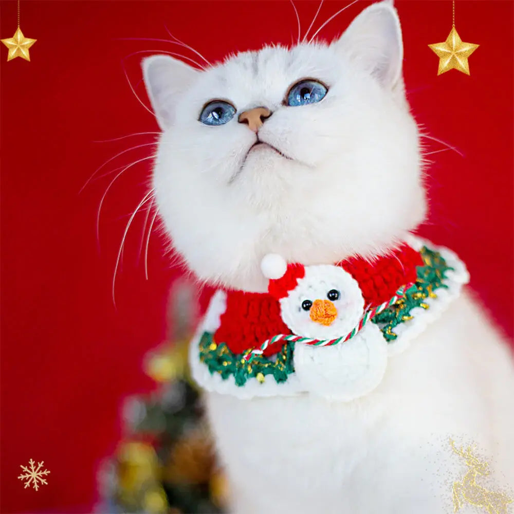 AUSIDAPET Santa Claus Knitted Scarf & Socks Set – Festive Matching Outfit for Pets & Owners