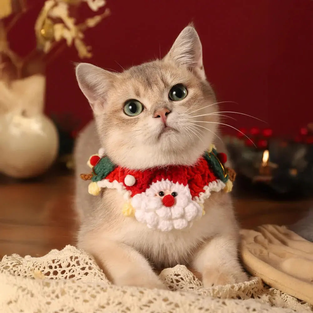 AUSIDAPET Santa Claus Knitted Scarf & Socks Set – Festive Matching Outfit for Pets & Owners