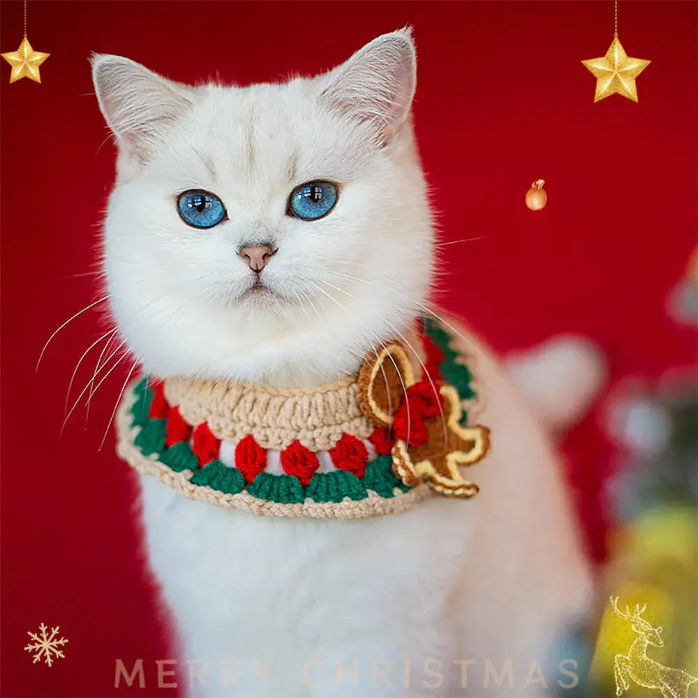 AUSIDAPET Santa Claus Knitted Scarf & Socks Set – Festive Matching Outfit for Pets & Owners