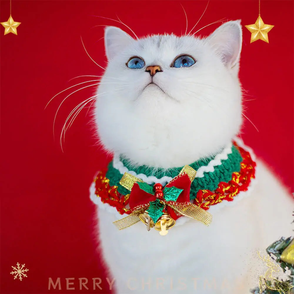 AUSIDAPET Santa Claus Knitted Scarf & Socks Set – Festive Matching Outfit for Pets & Owners