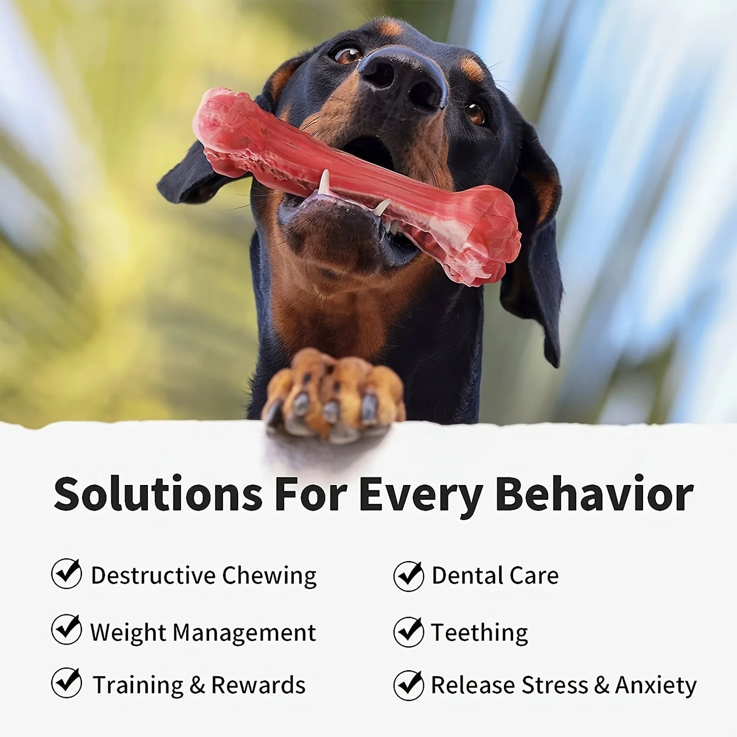 AUSIDAPET Silicone dog bite toy, natural rubber non-toxic, suitable for strong biting dogs, interactive cleaning of teeth bones