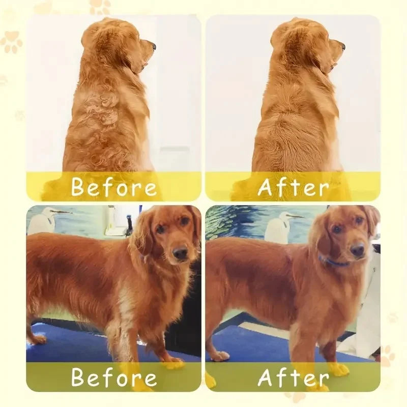 AUSIDAPET Steamy Dog Brush Electric Spray Cat Hair Brush 3 In1 Dog Steamer Brush for Massage Pet Grooming Removing Tangled and Loose Hair