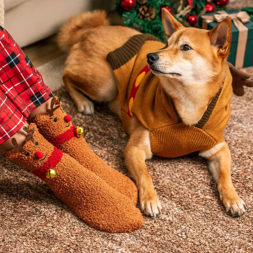 AUSIDAPET Christmas Sweater & Socks Set – Festive Matching Outfit for Pets & Owners