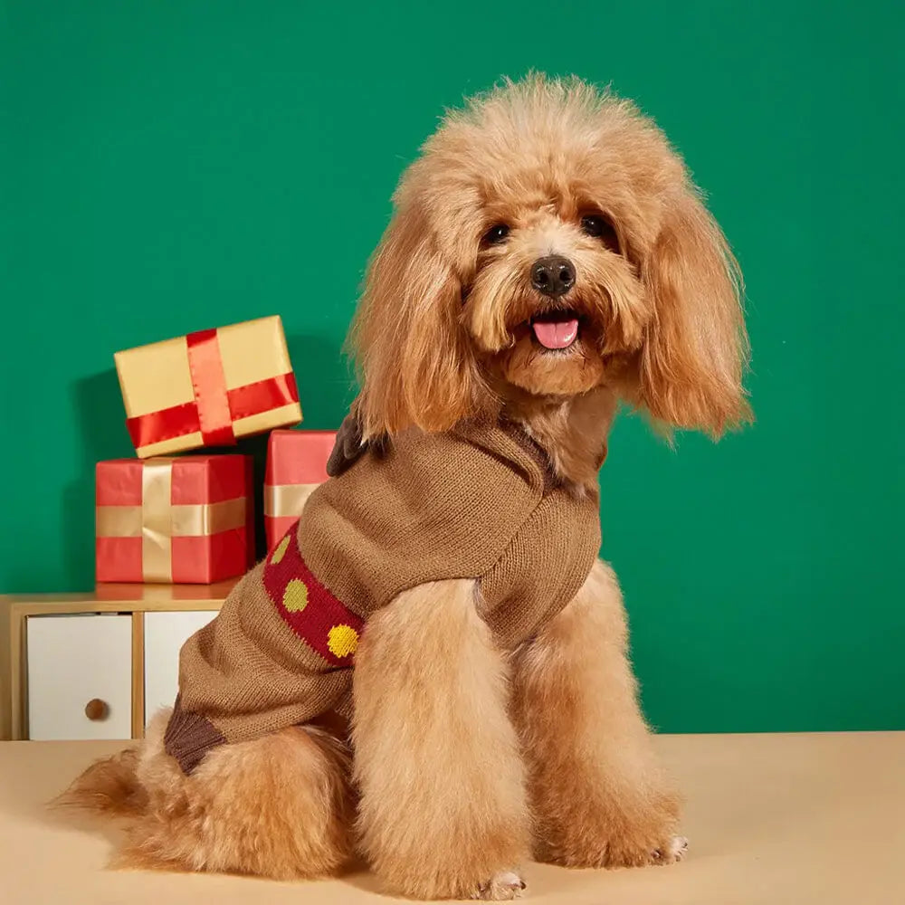 AUSIDAPET Christmas Sweater & Socks Set – Festive Matching Outfit for Pets & Owners