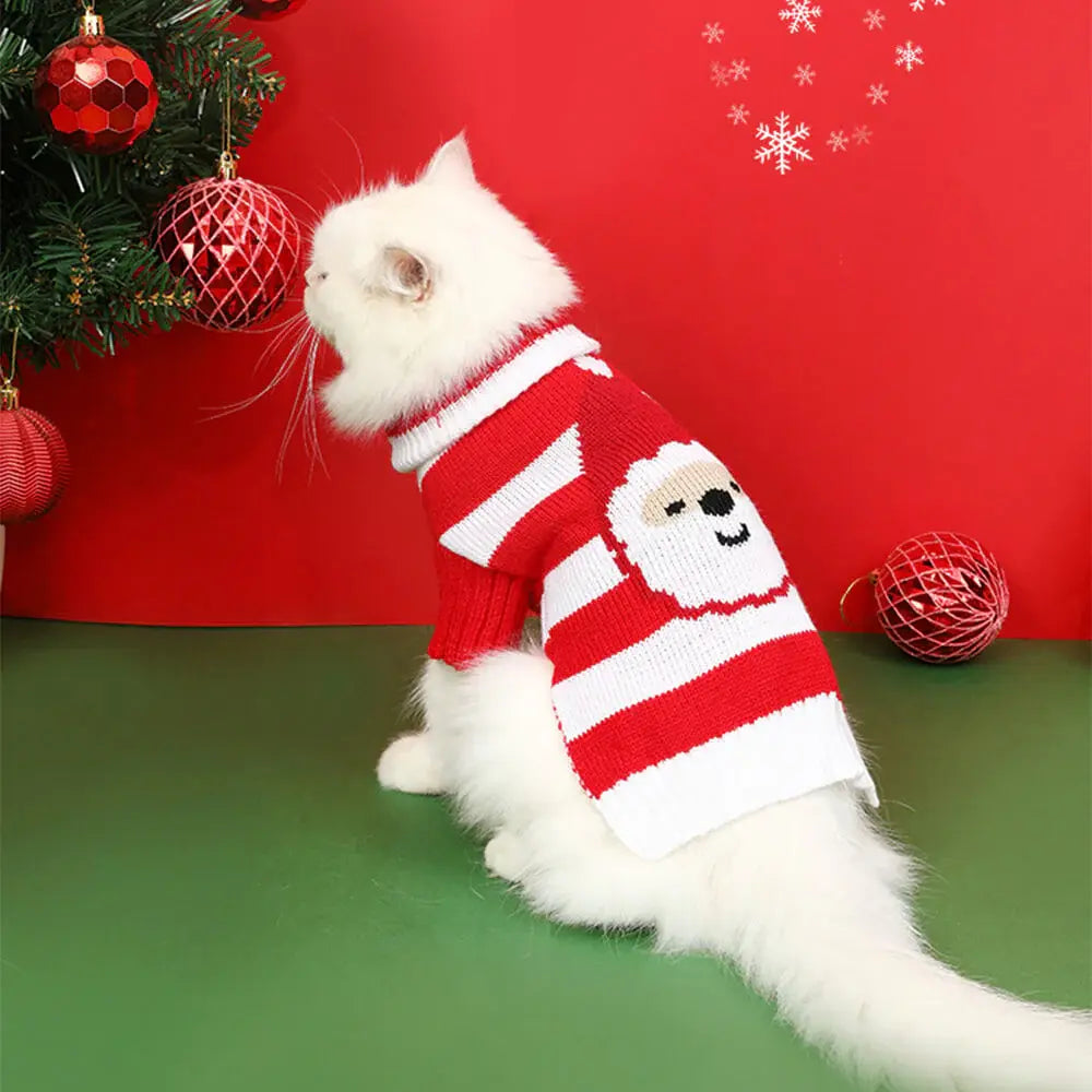 AUSIDAPET Christmas Sweater & Socks Set – Festive Matching Outfit for Pets & Owners