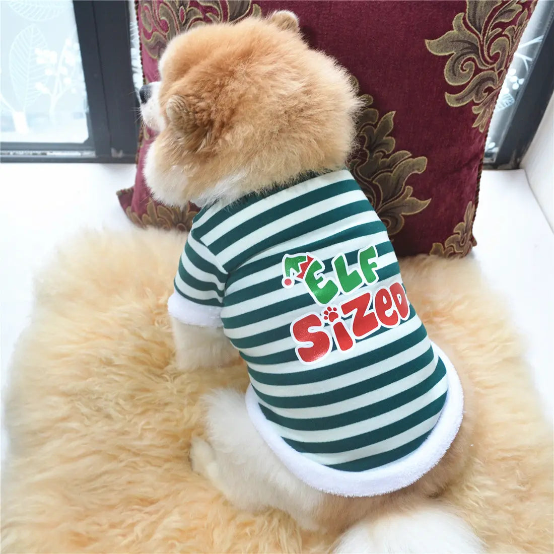 AusidaPet Elf Sized Christmas Dog Sweatshirt - Green White Striped Holiday Pet Hoodie with Long Sleeves