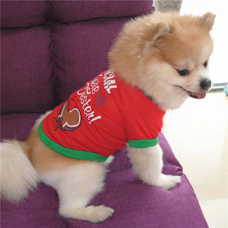 AusidaPet Official Cookie Tester Christmas Dog T-Shirt - Holiday Pet Costume with Gingerbread Design