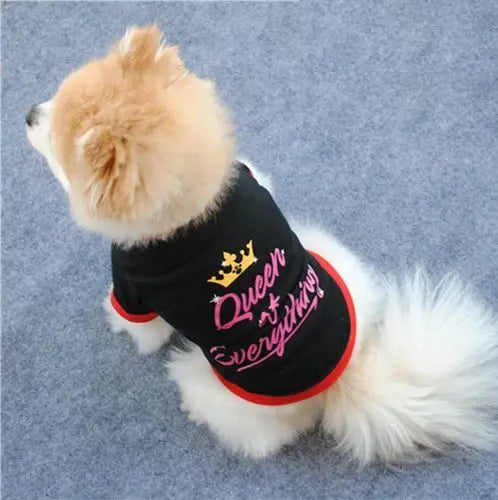 AusidaPet Queen of Everything Dog T-Shirt - Stylish Pet Costume with Crown Design