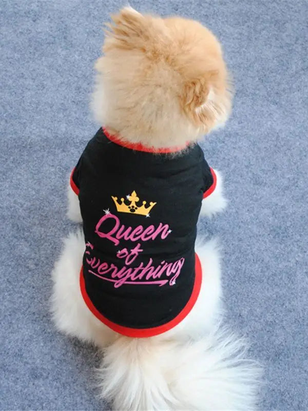 AusidaPet Queen of Everything Dog T-Shirt - Stylish Pet Costume with Crown Design