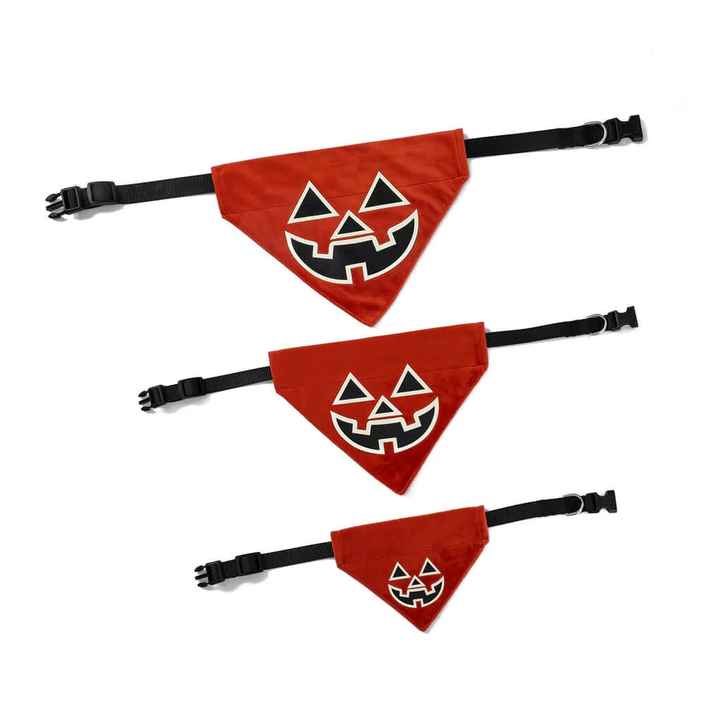 AUSIDAPET Luminous Halloween Pet Bandana – Glow-in-the-Dark Triangle Bib for Dogs & Cats
