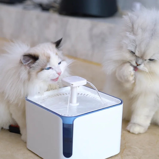 🚰 Is Your Pet Drinking Enough? 5 Signs of Dehydration & Why a Fountain Can Help!