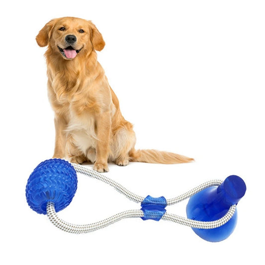 AUSIDAPET 1Piece Pet Toy Floor Suction Cup with Ball for Cat Dog Teeth Cleaning Chewing Playing